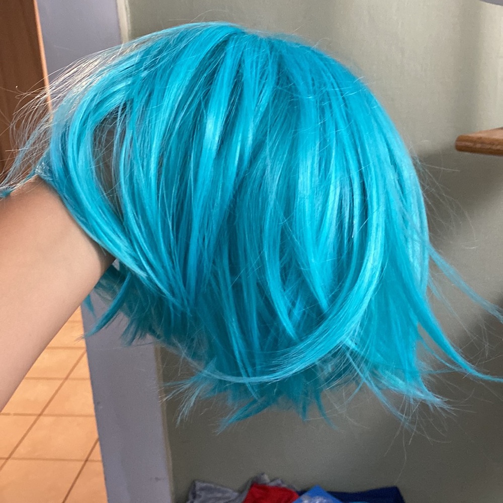 Blue wig - Picture 4 of 6